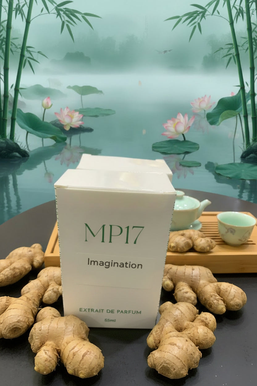 Imagination