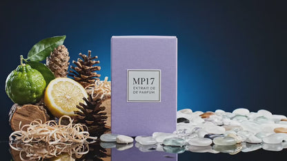 Bleu de Mp17 parfum